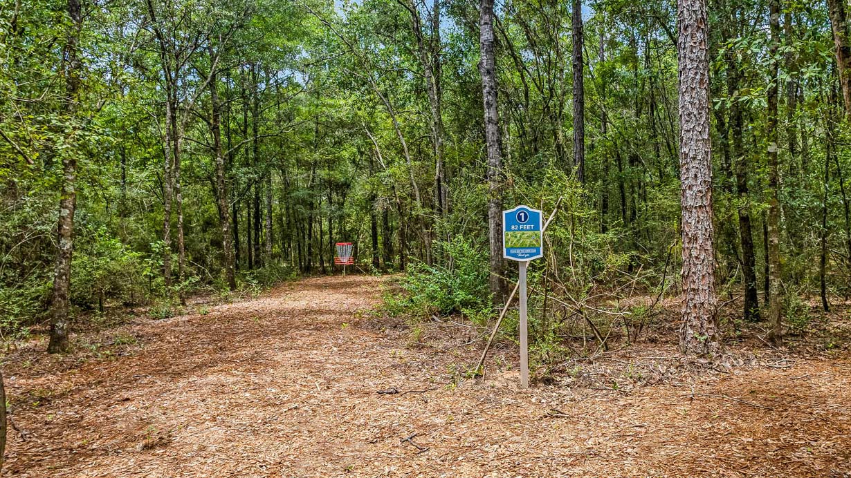 Hammond Disc Golf