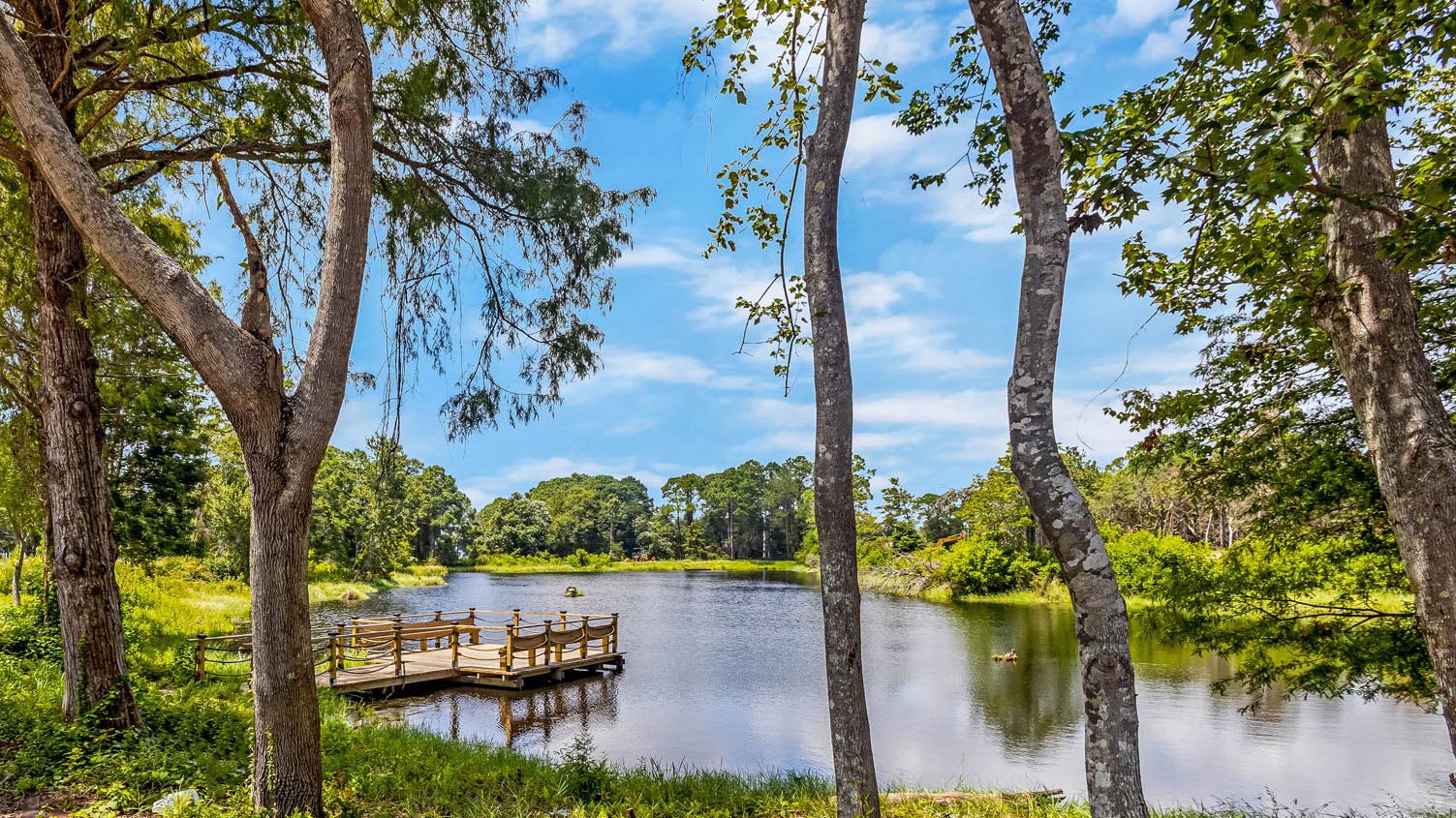 Waterside at East Bay Pond with dock