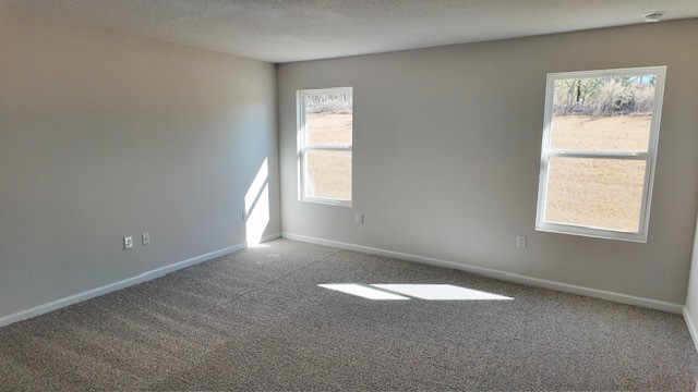 The Lakeside floorplan primary bedroom with two windows