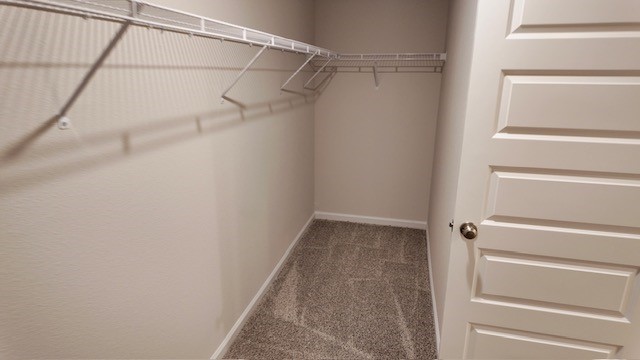 The Lakeside floorplan primary bedroom closet with wire shelving