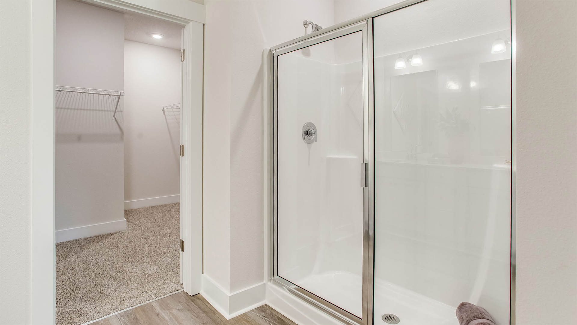 Ozark interior picture.