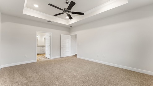 Master bedroom with carpet floors and tray ceilings.