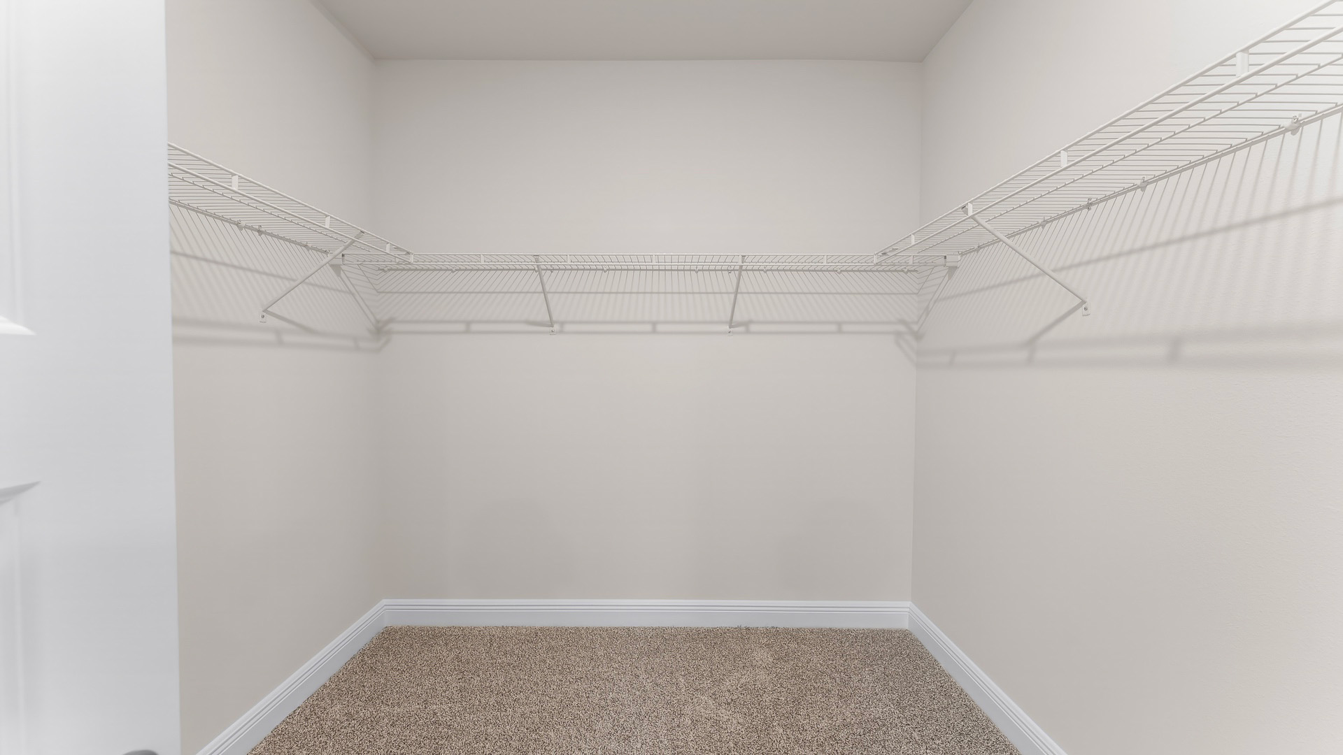 Primary bathroom walk in closet with carpet floors and ventilated shelving.
