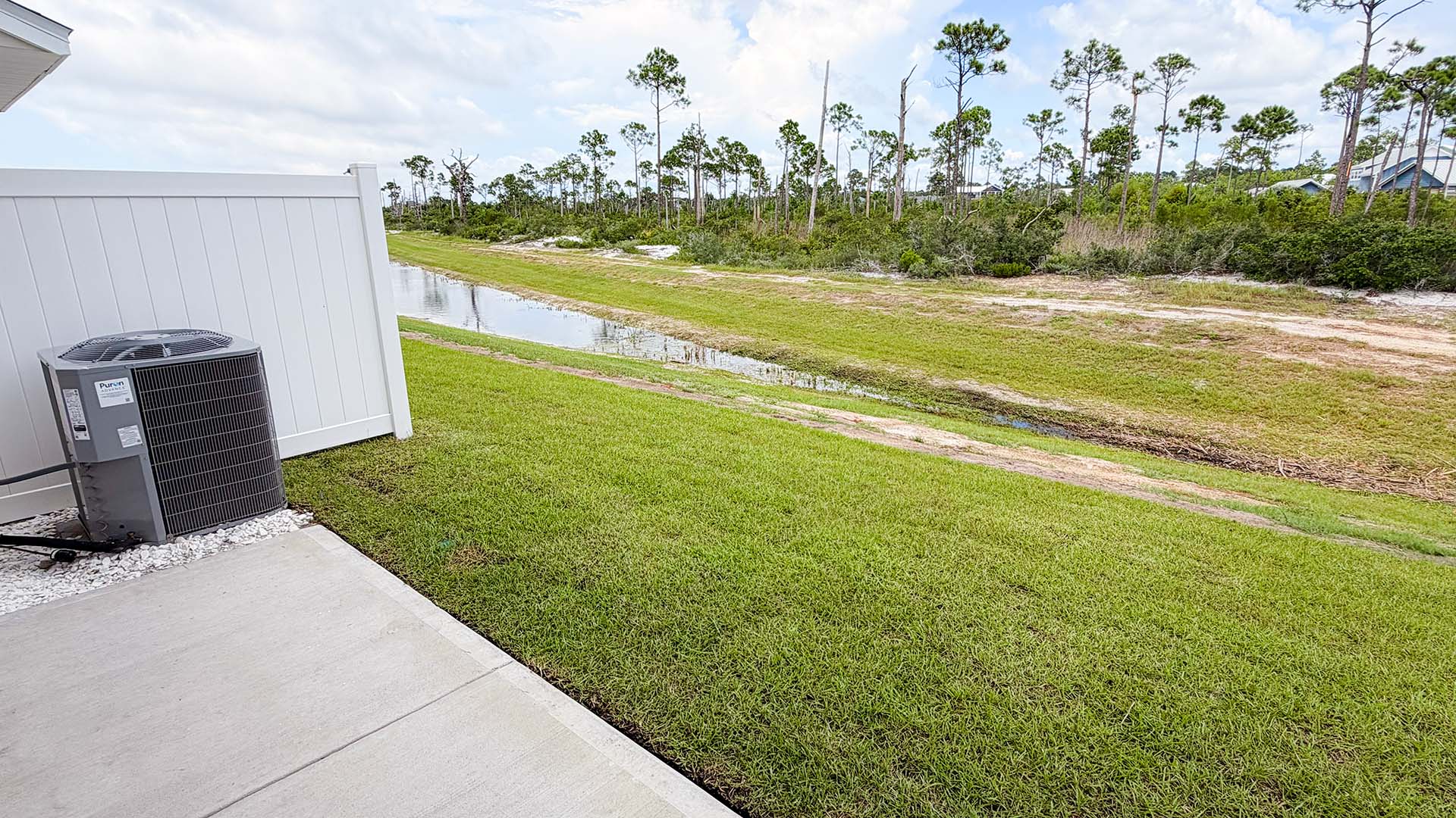 Back yard view.