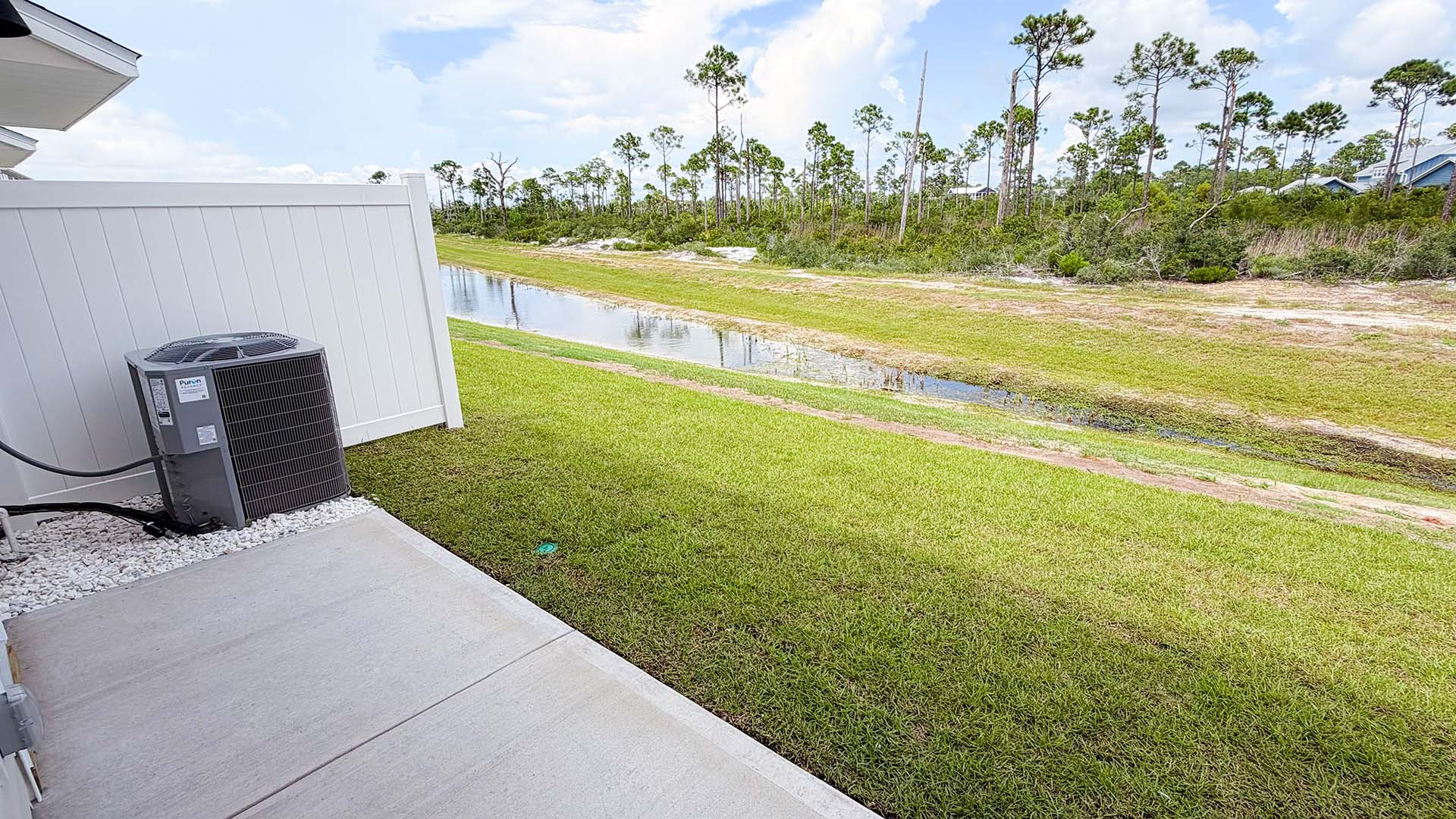 Back yard view.