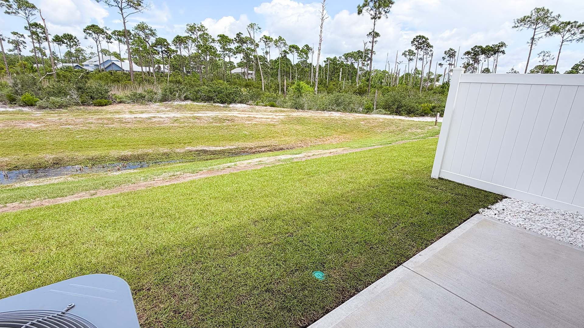 Back yard view.