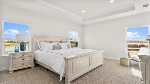 Primary bedroom with carpet floors and tray ceilings with three windows.