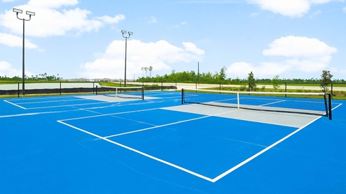 Second Amenity Center with pool, playground, pickleball court and basketball court.