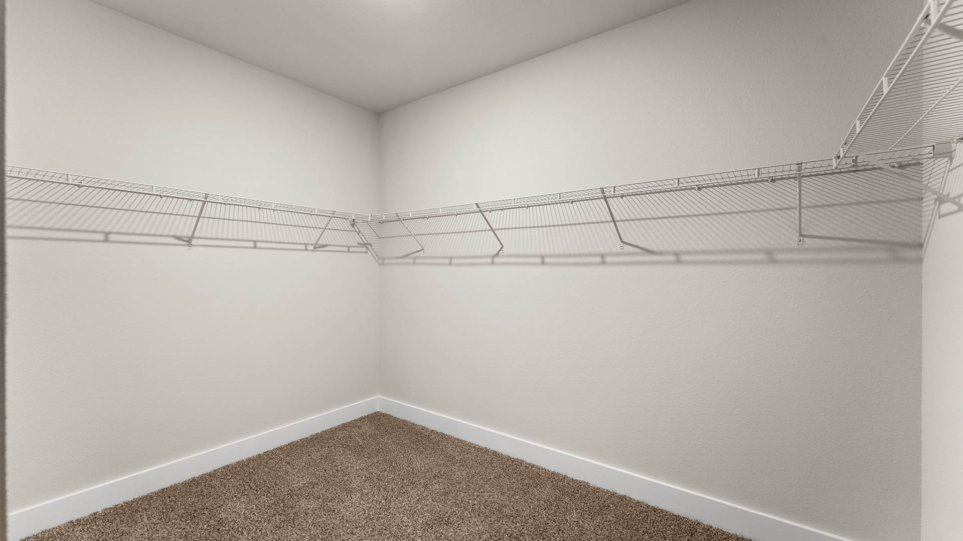 Primary bathroom walk-in closet with carpet floors and ventilated shelving.