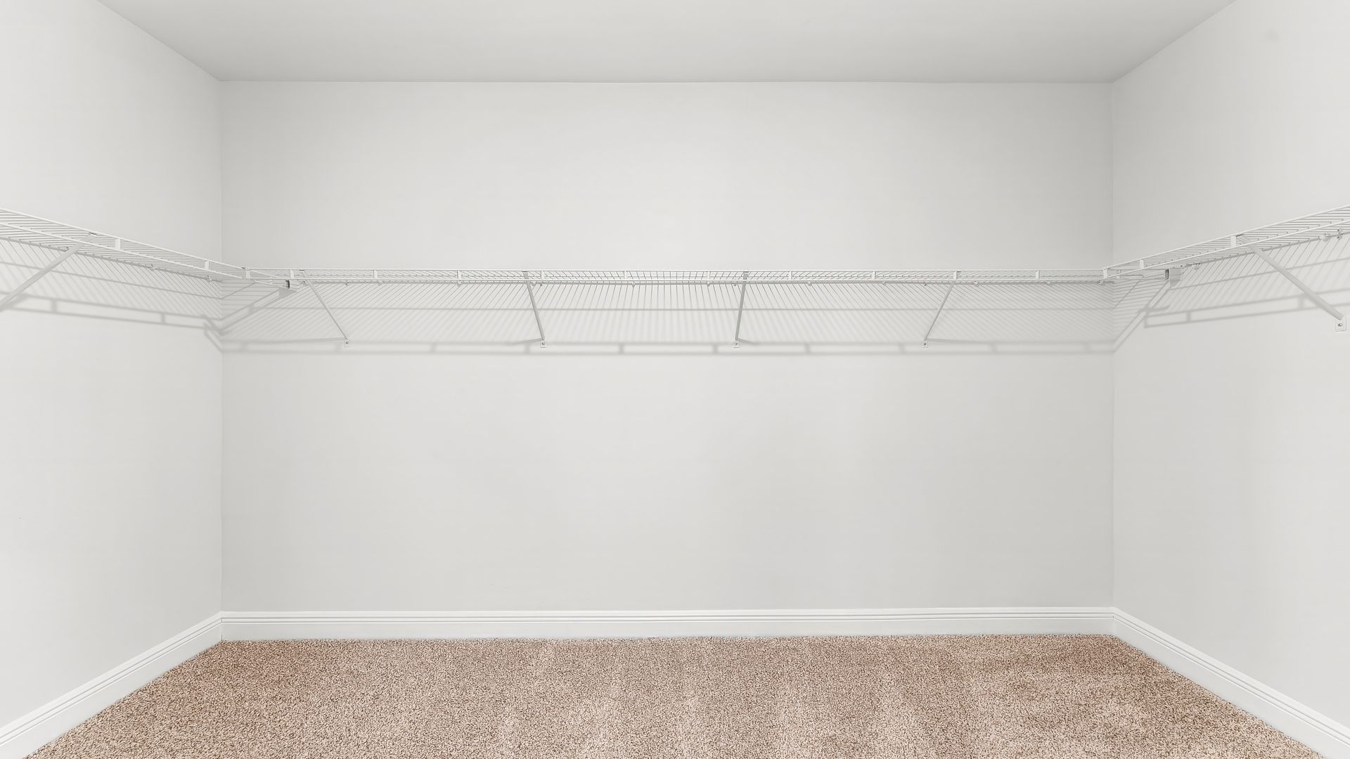 Walk-in closet with ventilated shelving and carpet floors.