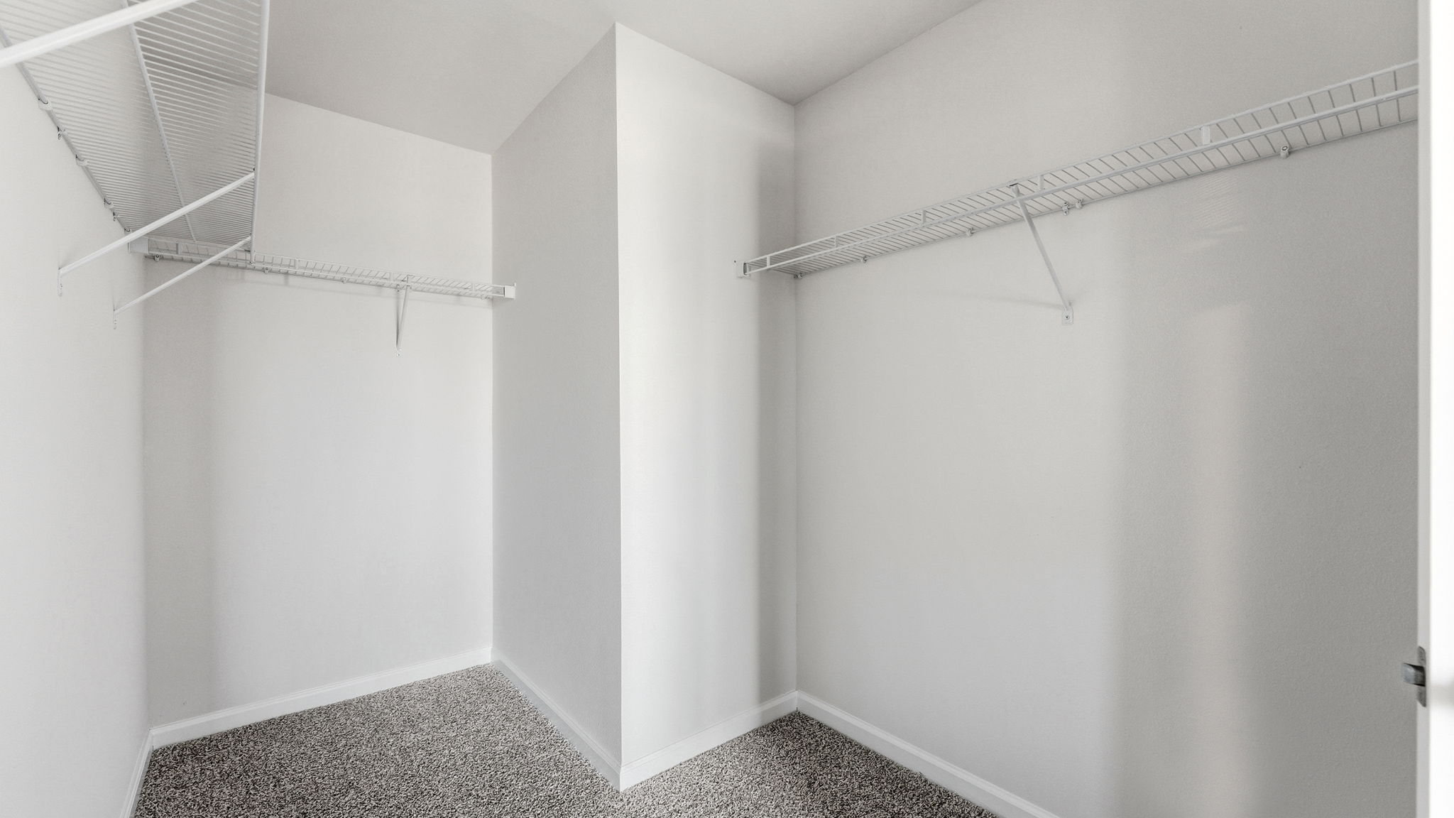 Primary bedroom closet with carpet floors and ventilated shelving.