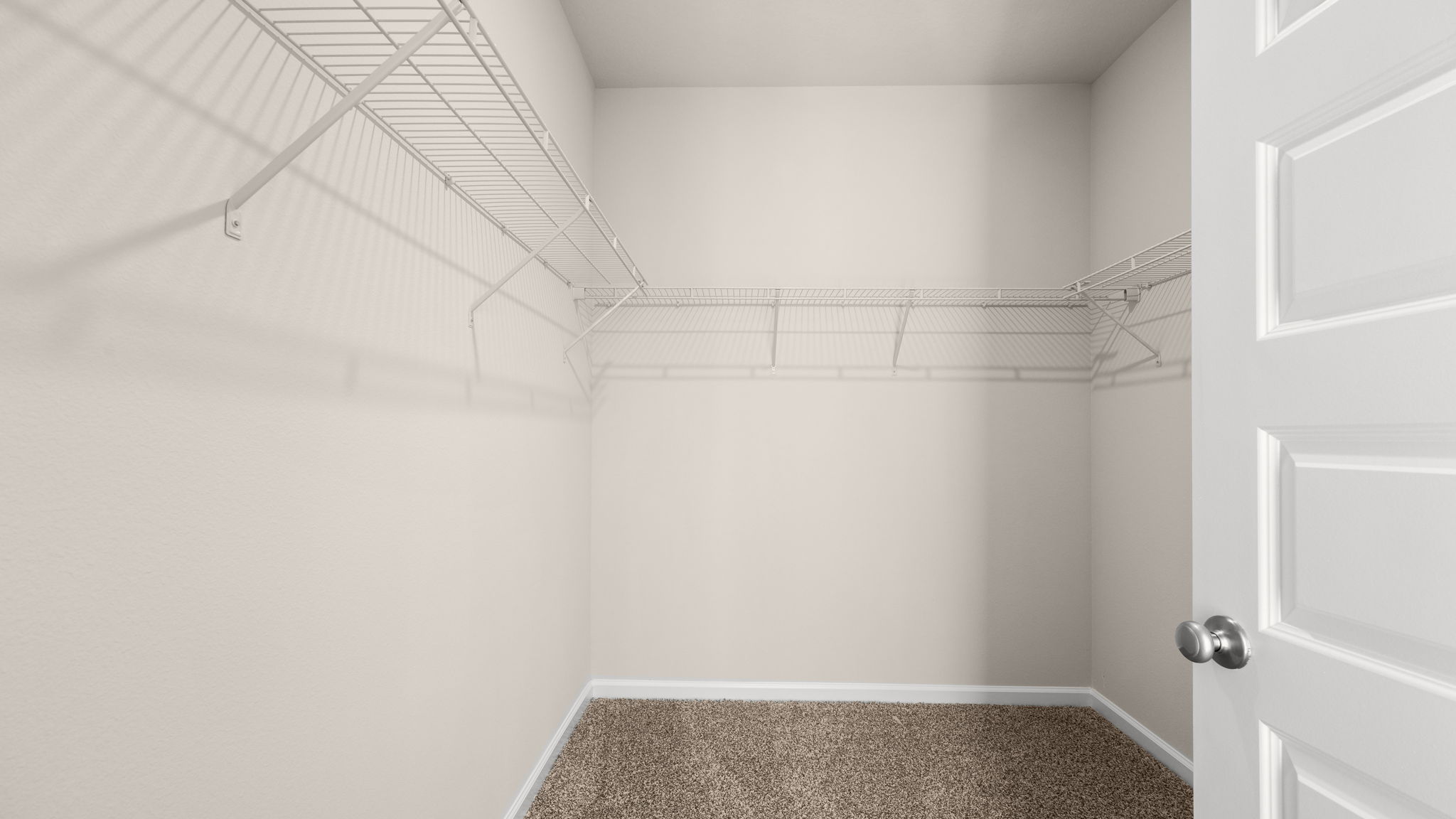 Walk-in closet with shelving and carpet floor.