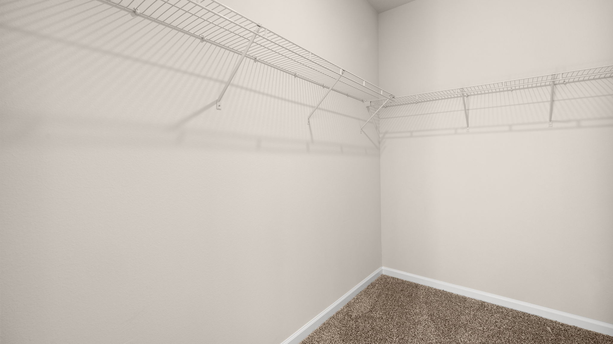 Walk-in closet with shelving and carpet floor.