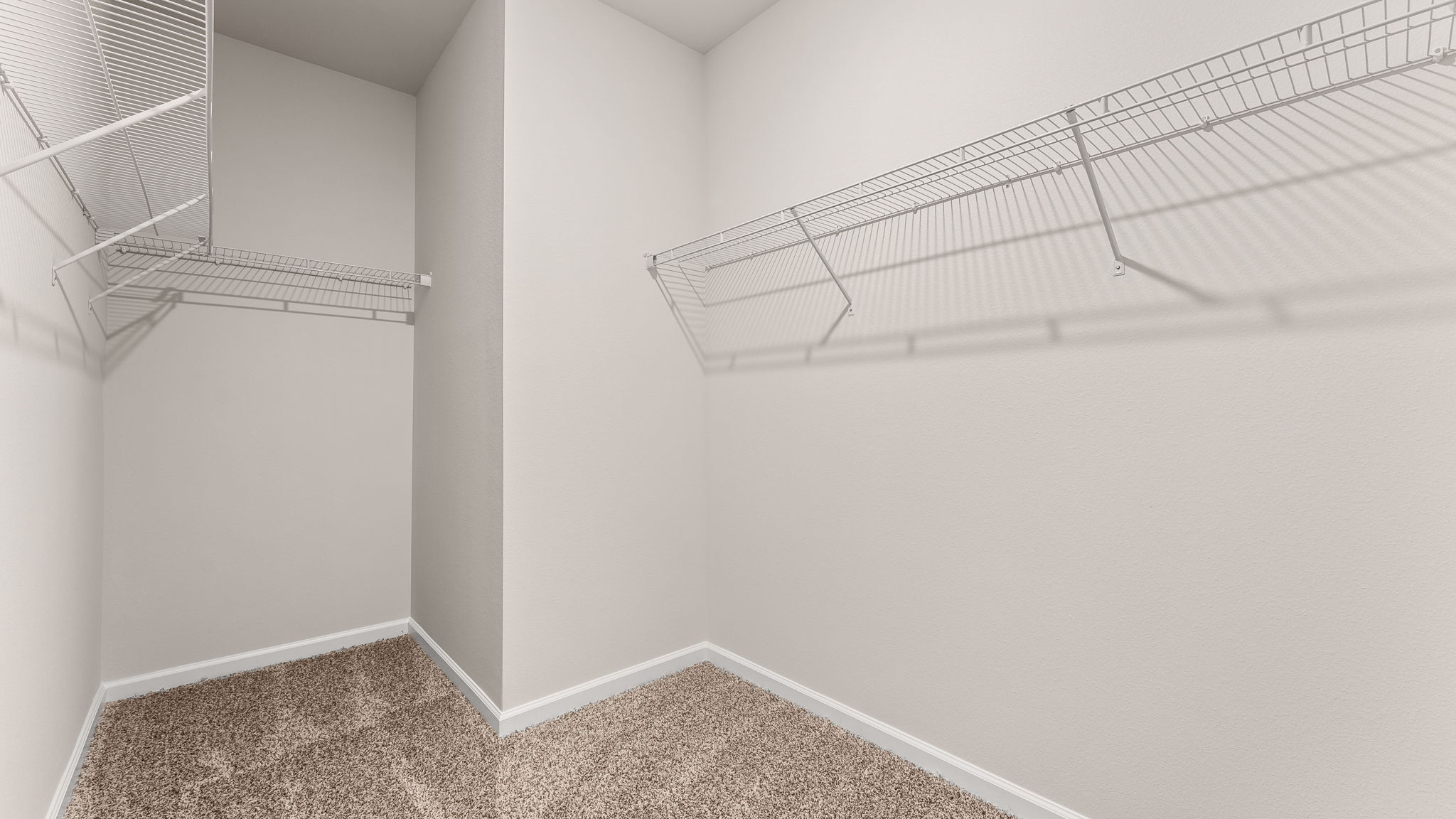 Walk in closet with carpet flooring and ventilated shelving.