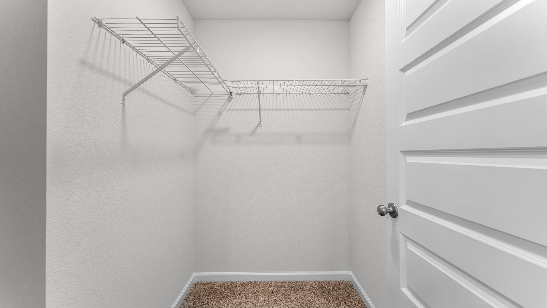 Walk-in closet with carpet floors and ventilated shelving.