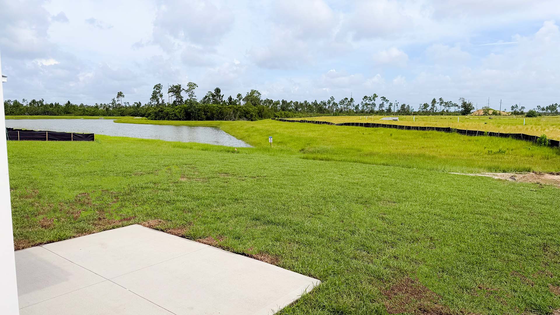 Back yard view.