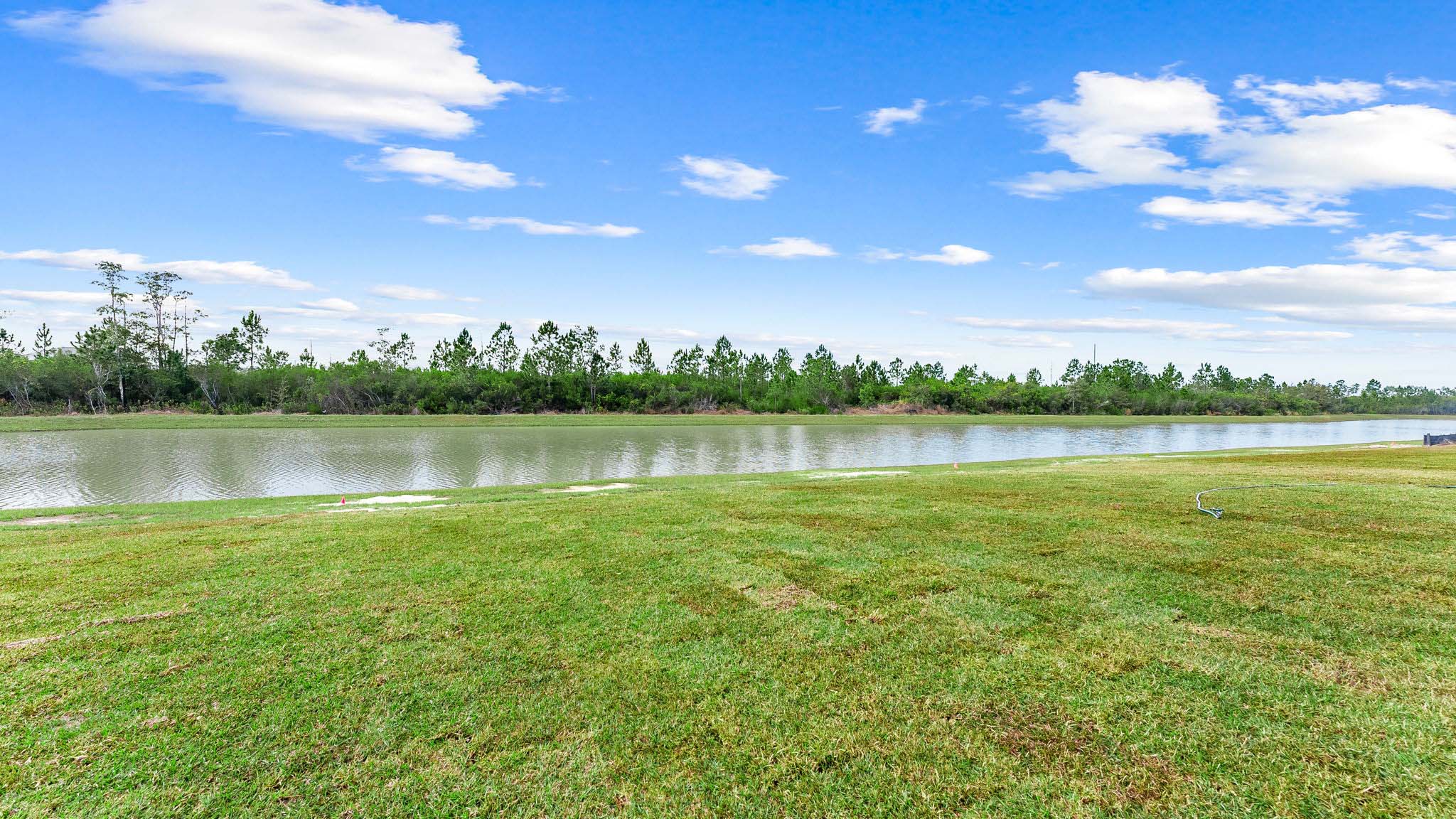 Back yard pond view.