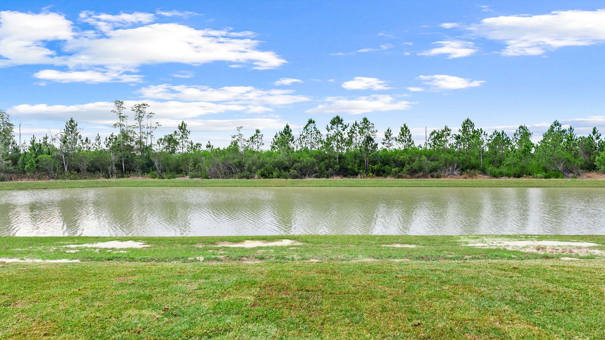 Back yard pond view.