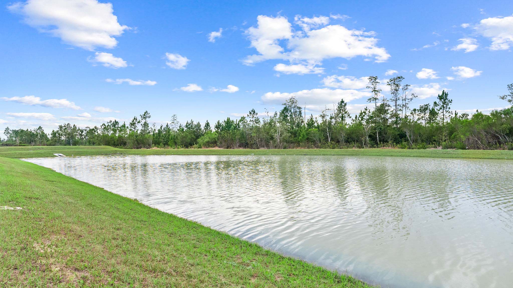 Back yard pond view.