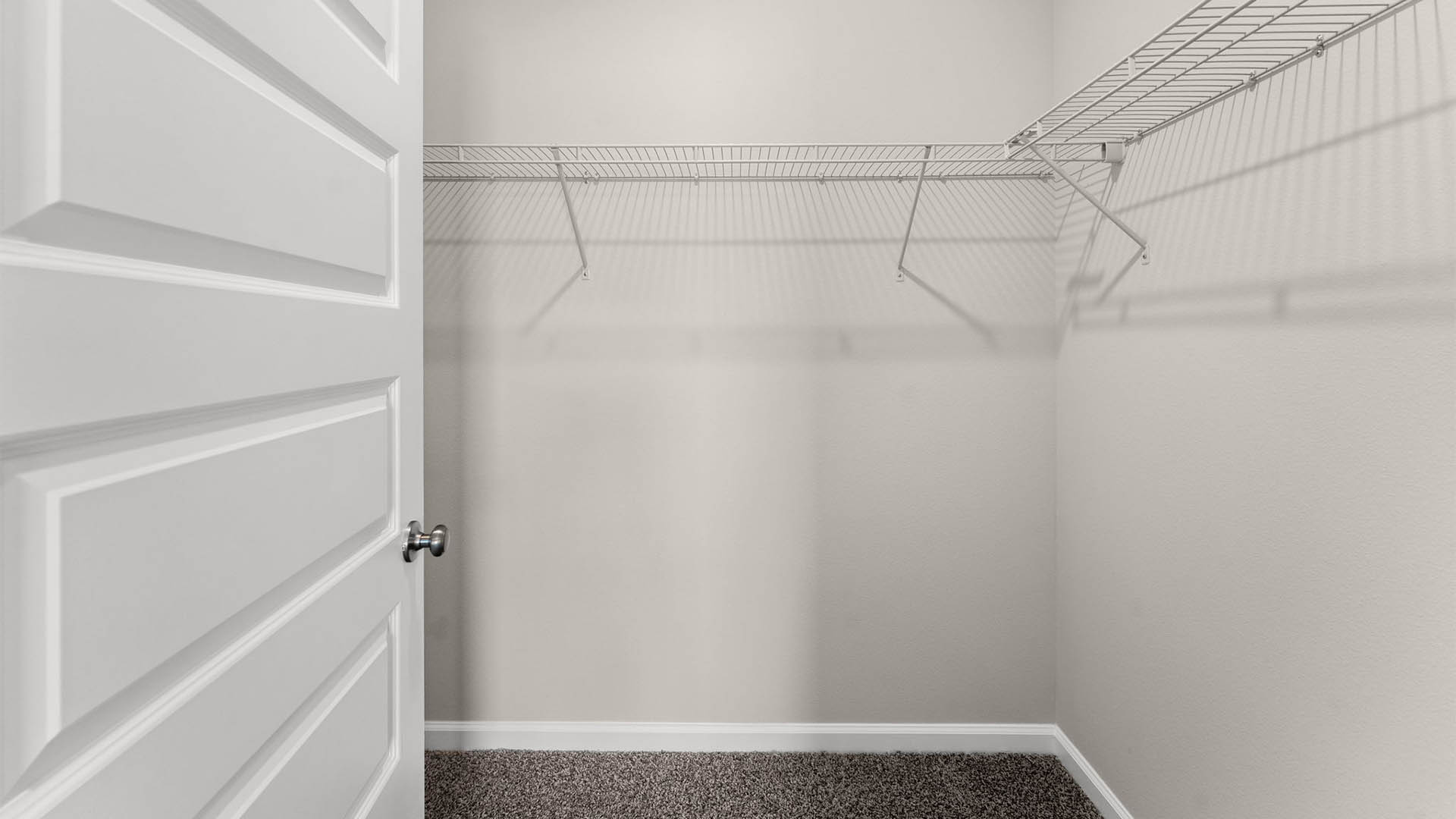 Closet with carpet floors and shelving.
