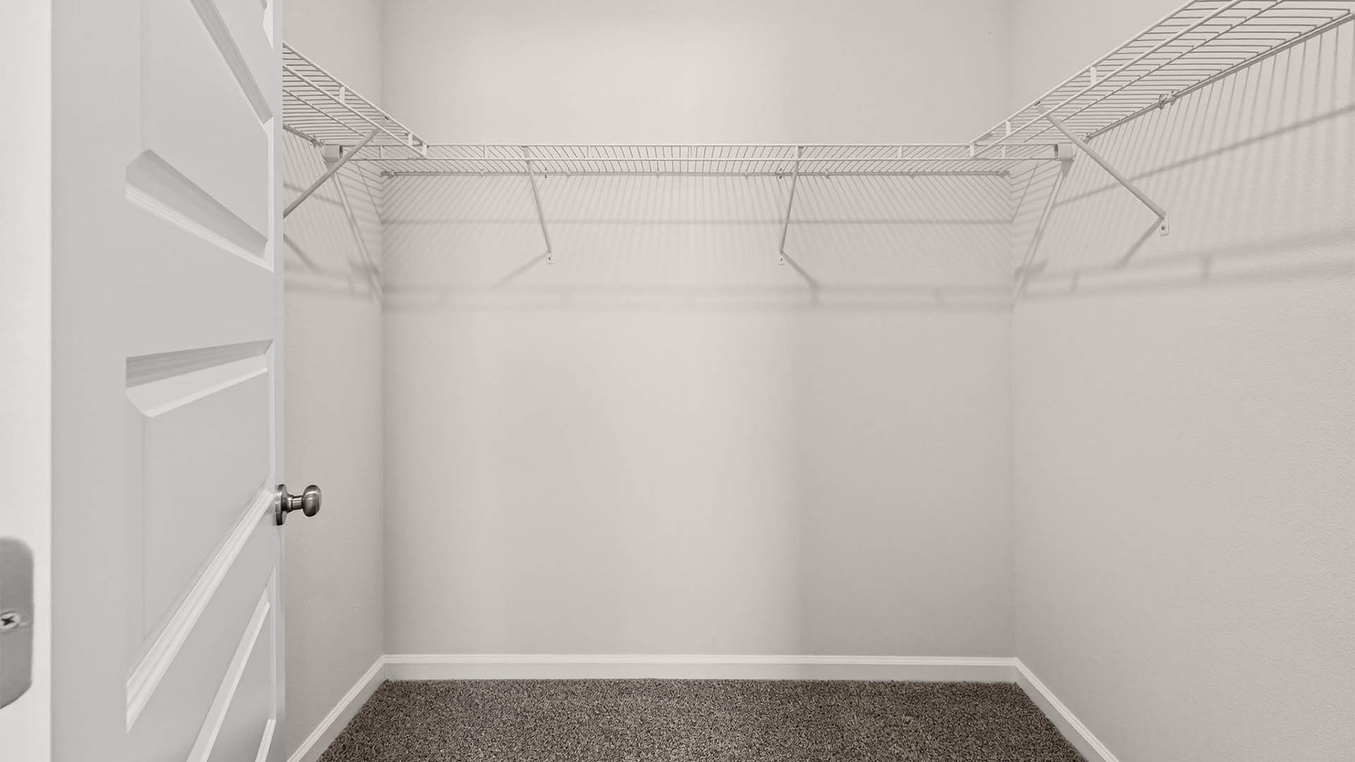 Closet with carpet floor and shelving.