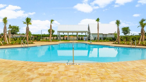Pool and dog park.