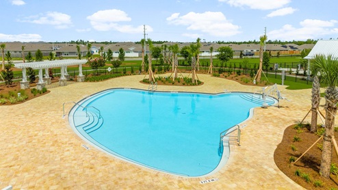 Pool and dog park.