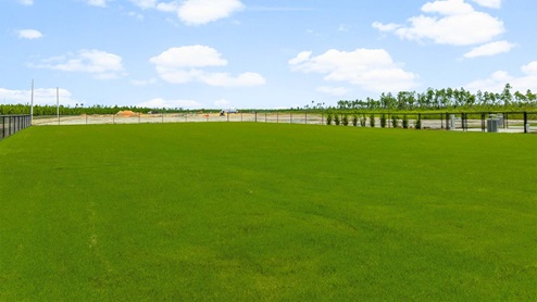 Pool and dog park.