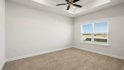 Primary bedroom with carpet floors and tray ceilings and ceiling fan and two windows.