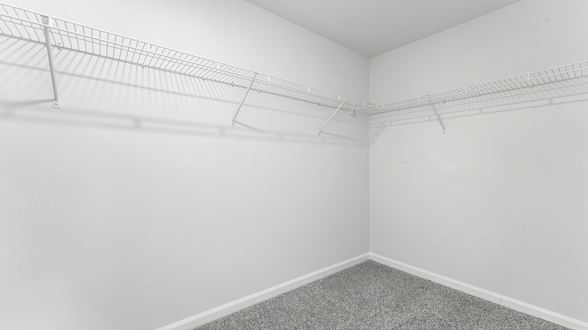 Walk-in closet with ventilated shelving and carpet floors.