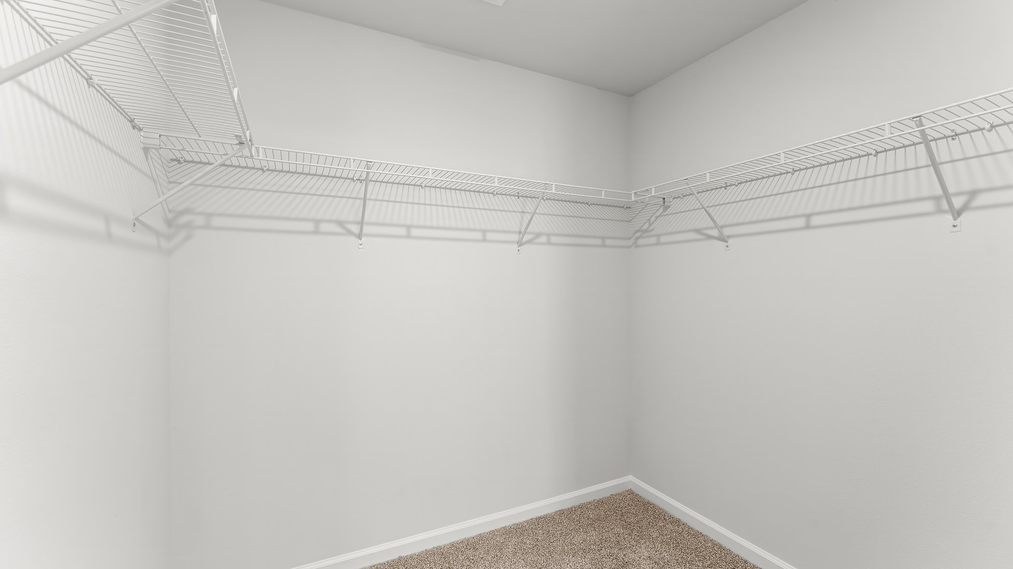 Walk-in closet with carpet floors and ventilated shelving in primary bathroom.