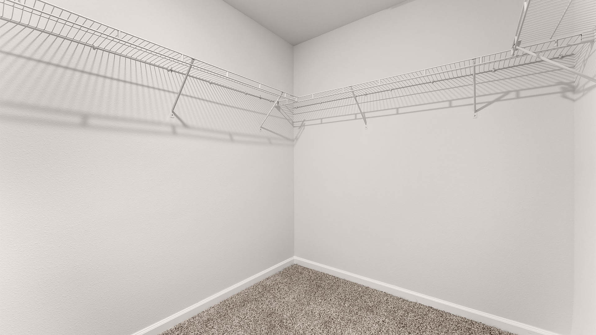 Walk in closet with carpet floor and ventilated shelving.