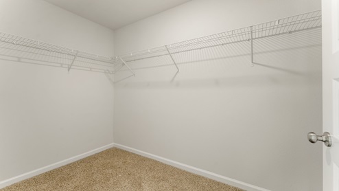 Walk-in closet with ventilated shelving and carpet floors.