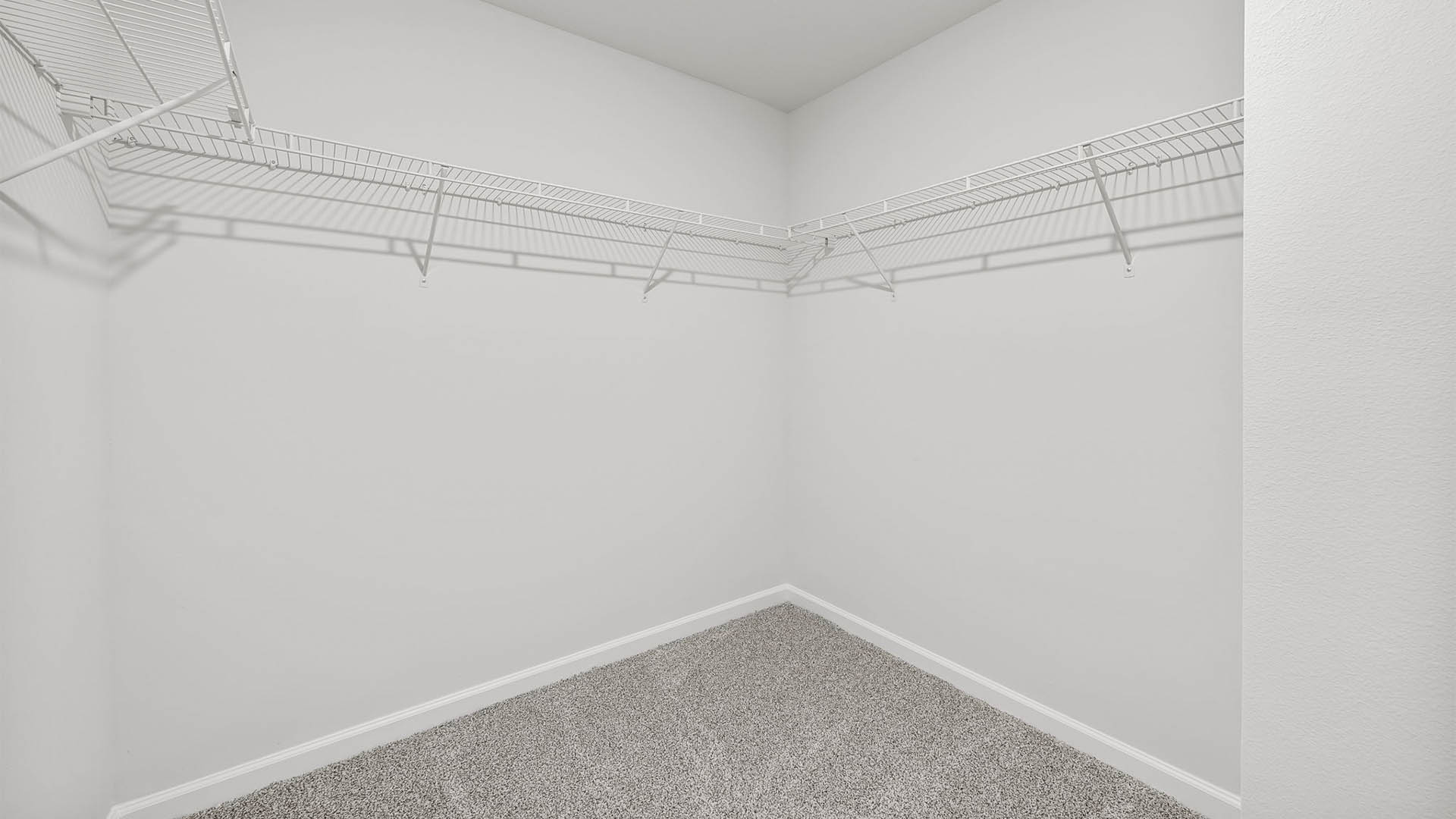 Walk-in closet with carpet floors and ventilated shelving in primary bathroom.