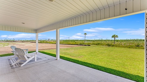 Covered back porch and back yard.