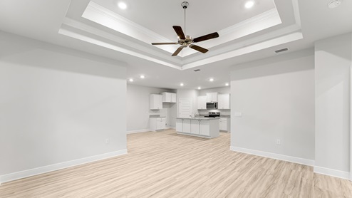 Living room with ceiling fan and tray ceilings and EVP flooring.