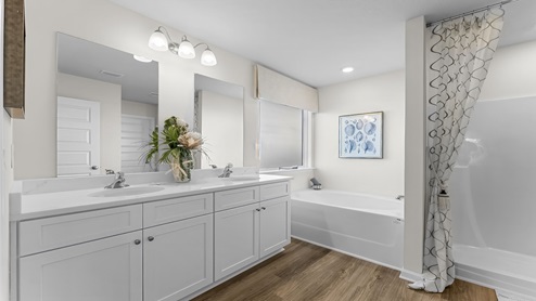 Primary bathroom with double vanity quartz countertops and walk-in closet.