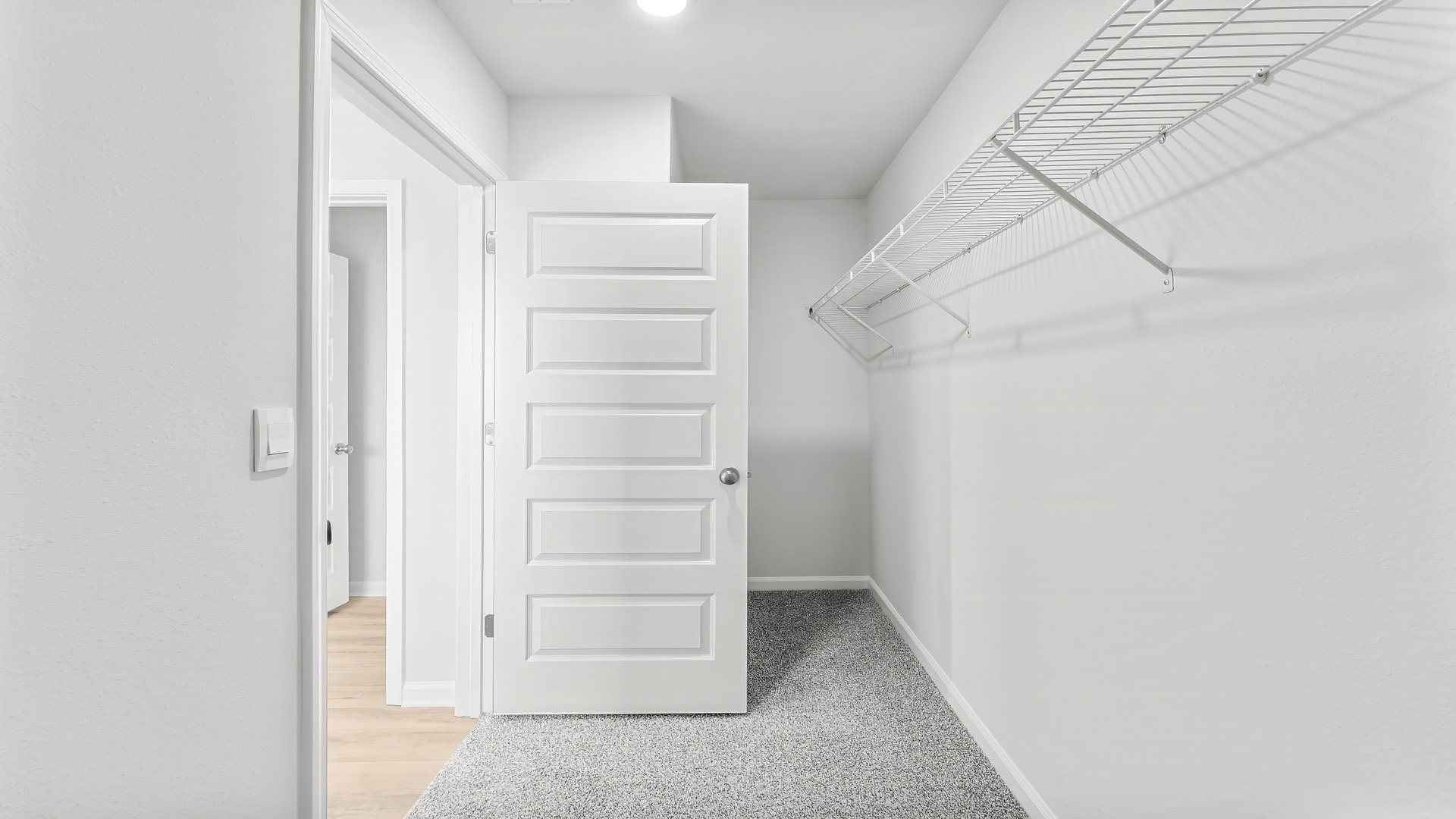 Walk-in closet with ventilated shelving and carpet floors.