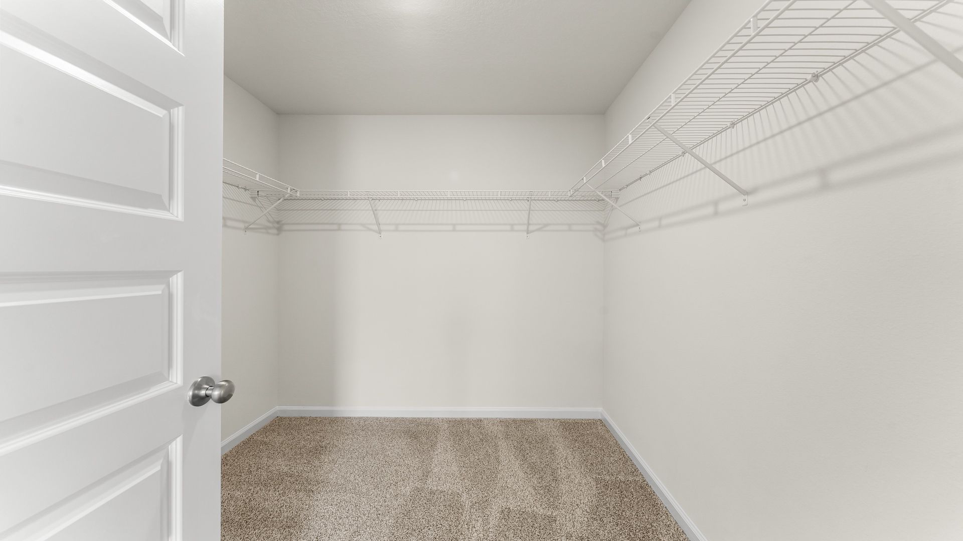 Walk-in closet with carpet floors and ventilated shelving.