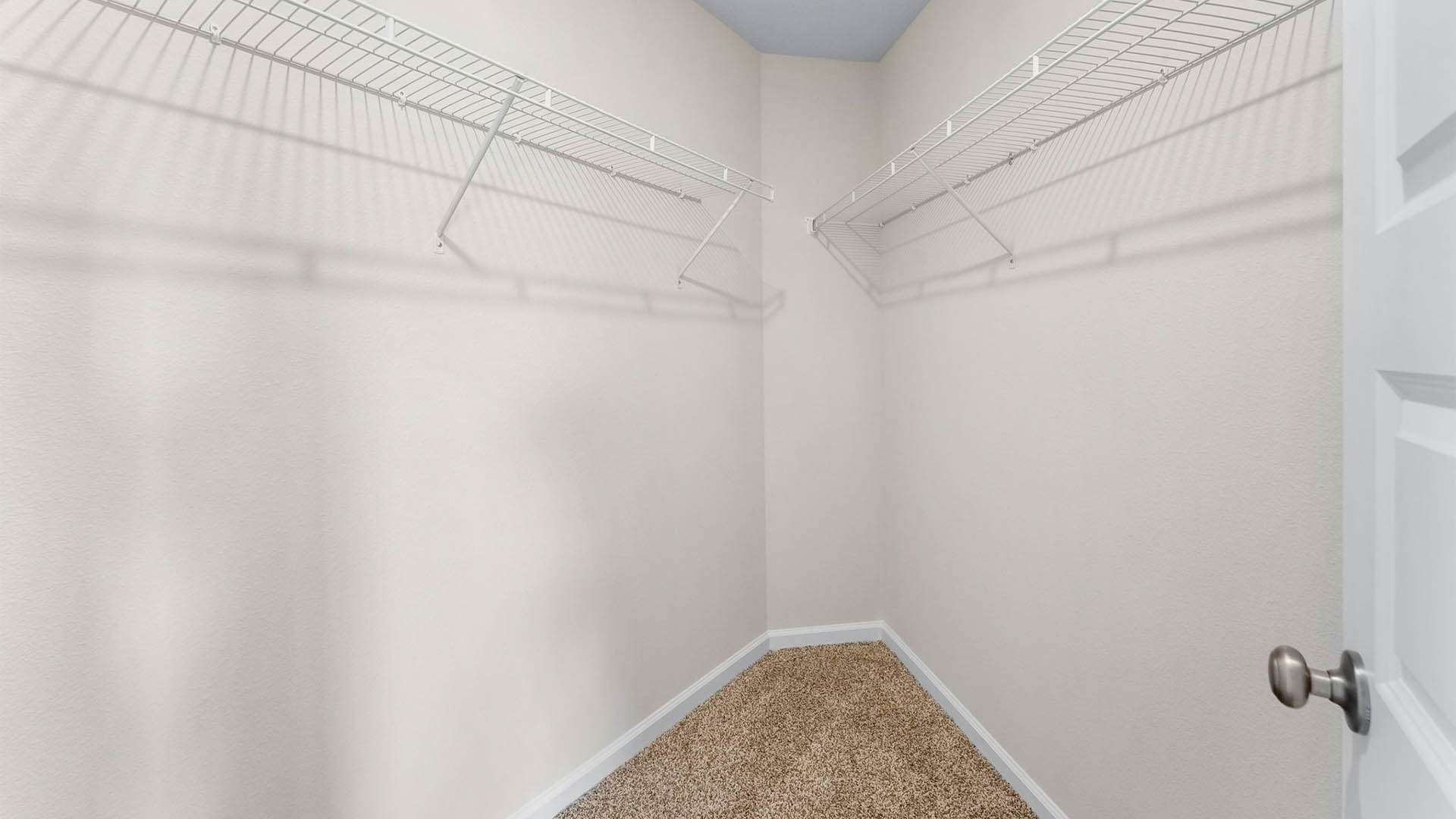 Primary bedroom closet with carpet floors and ventilated shelving.