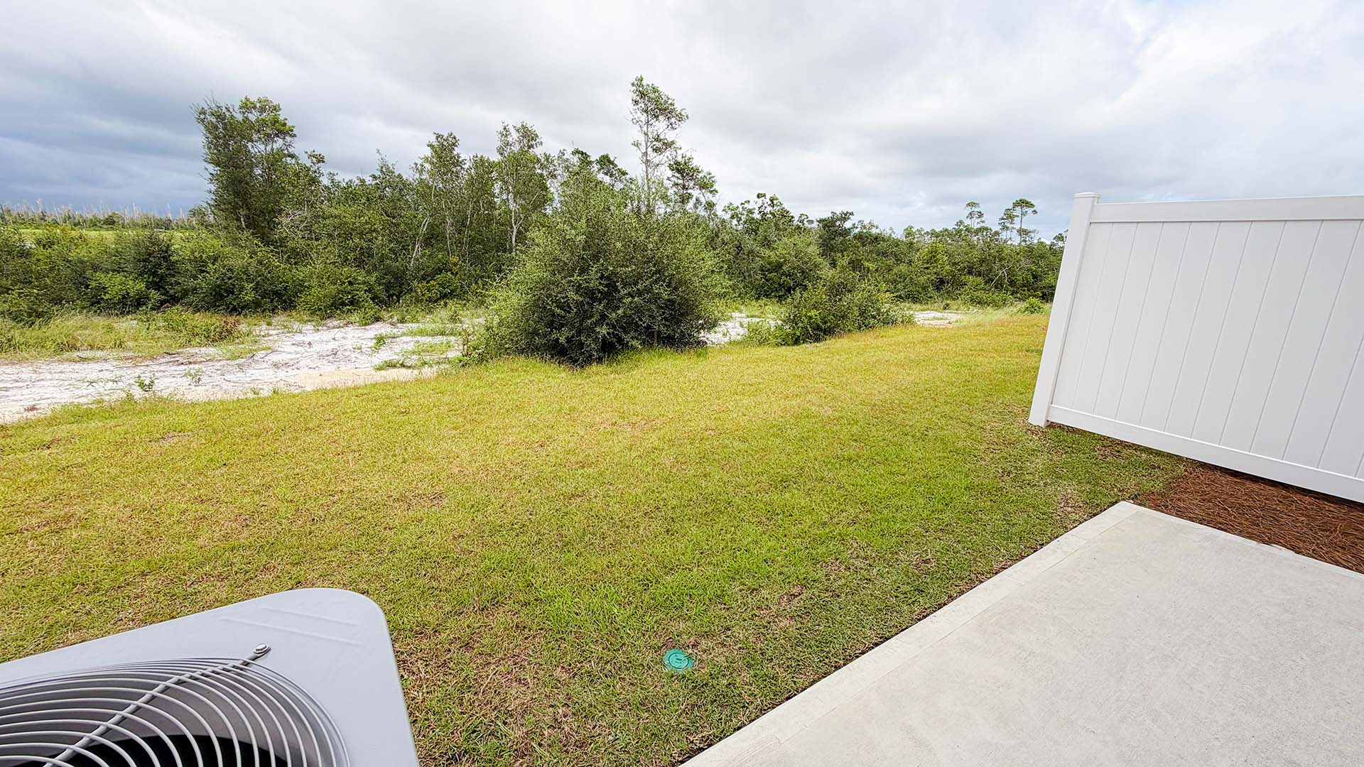Back yard view.