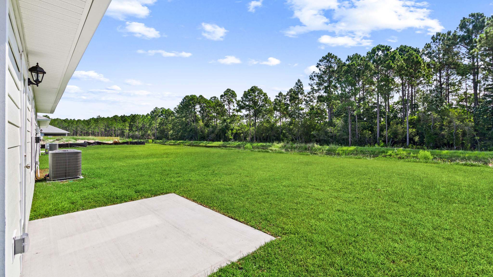 Back yard view.