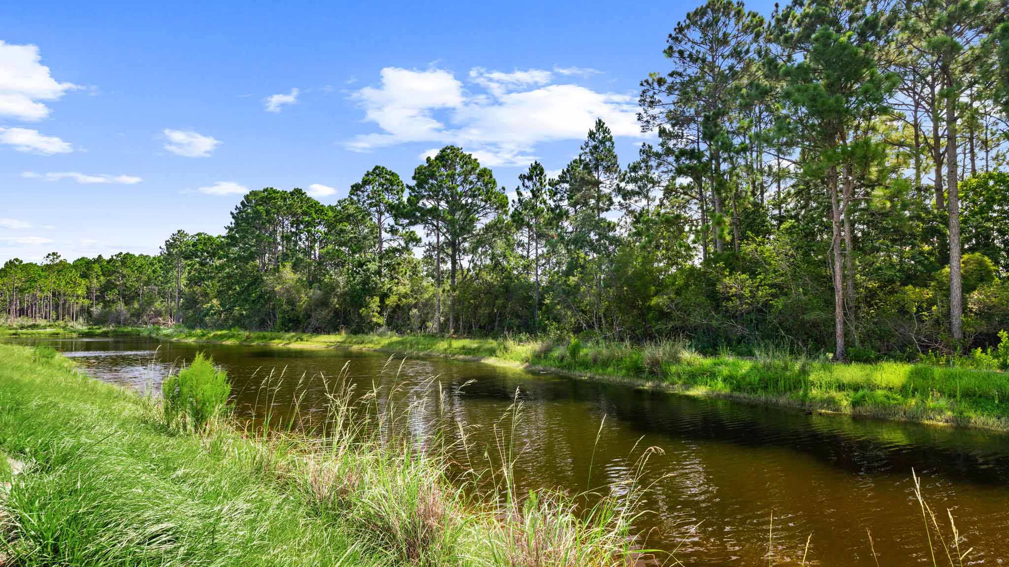 Pond View.
