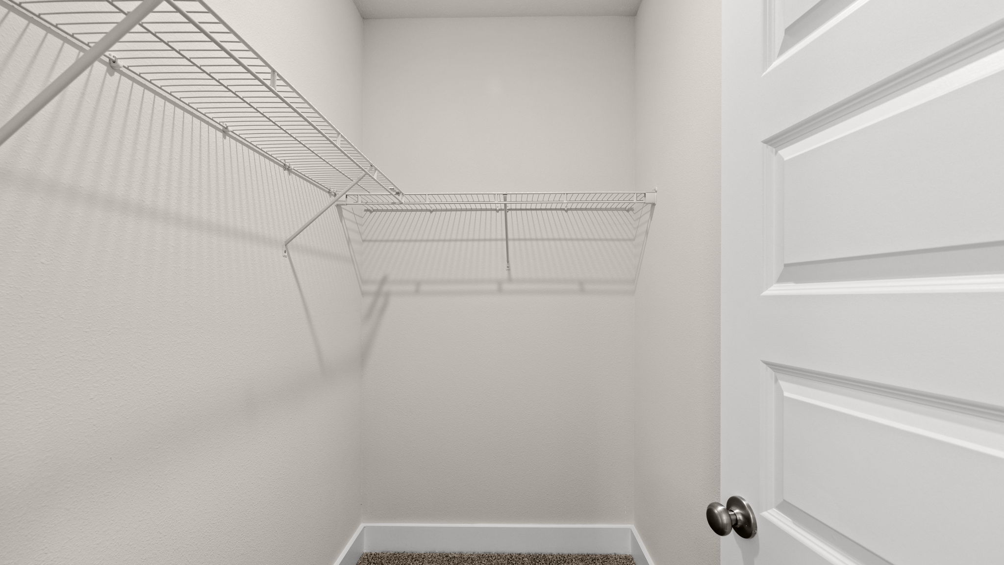 Primary bathroom closet with carpet floors and shelving.