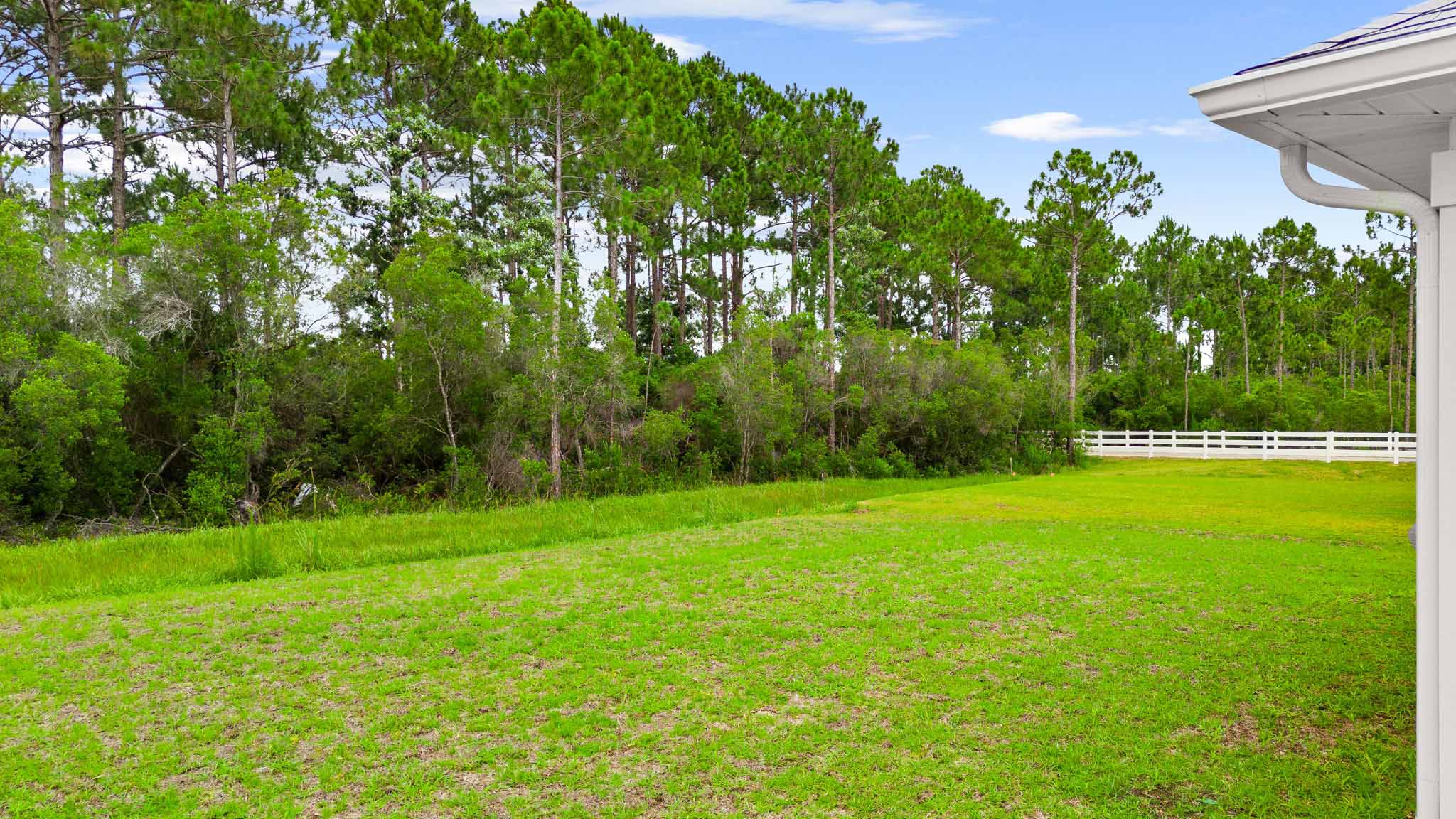 Back yard view.