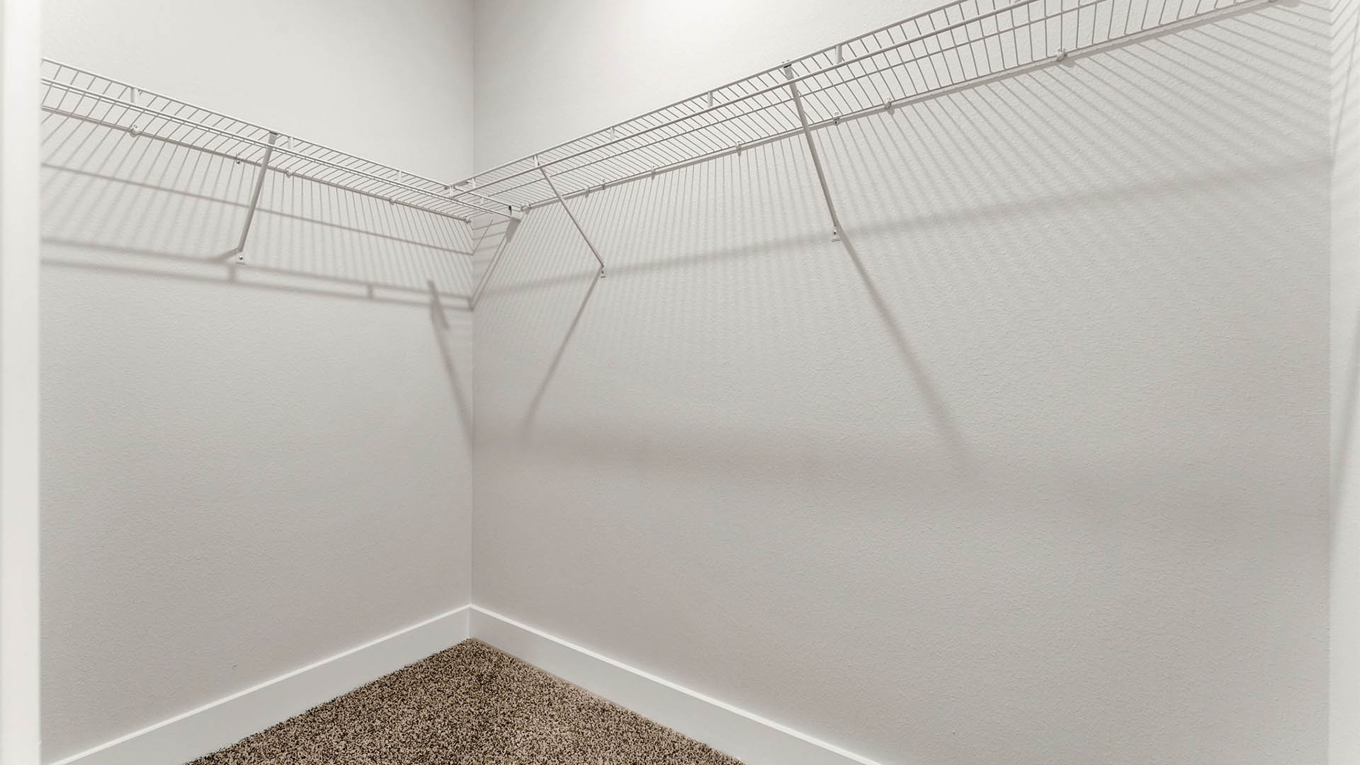 Primary bathroom closet with carpet floor and ventilated shelving.