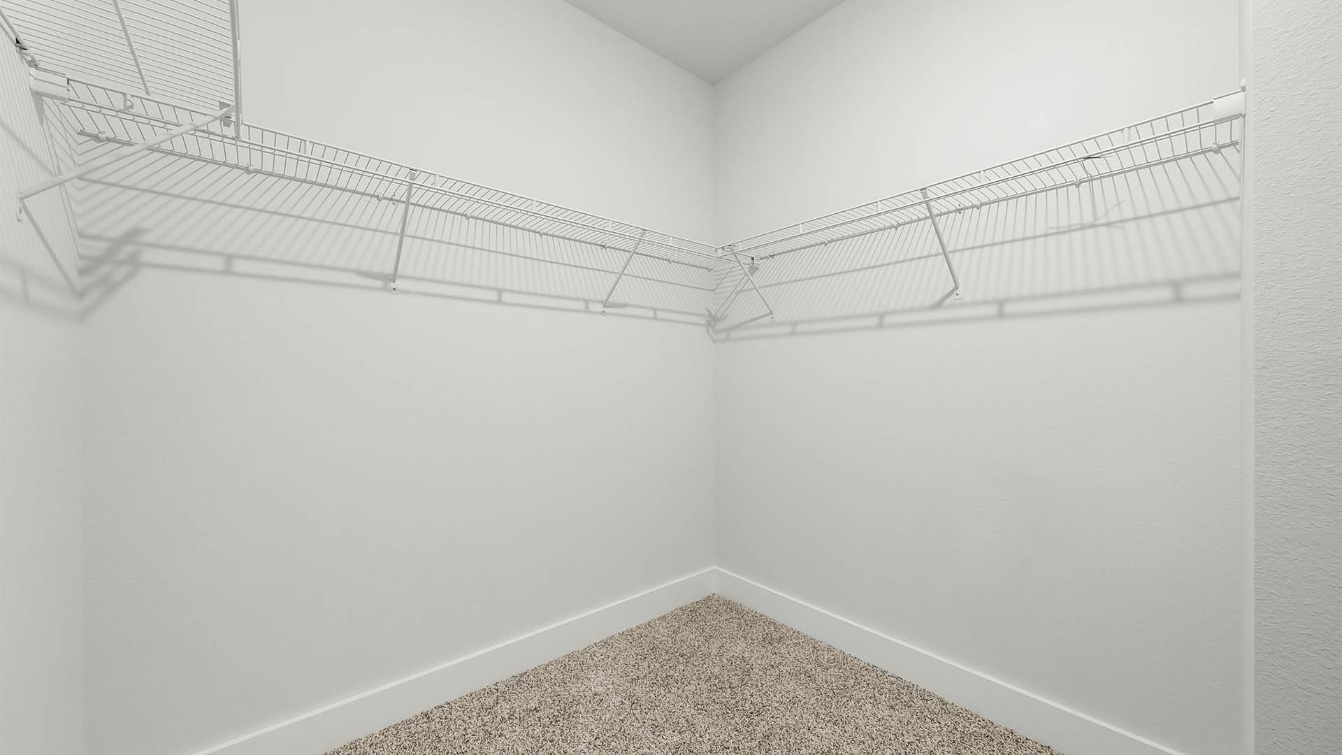 Walk-in closet with carpet flooring and ventilated shelving.