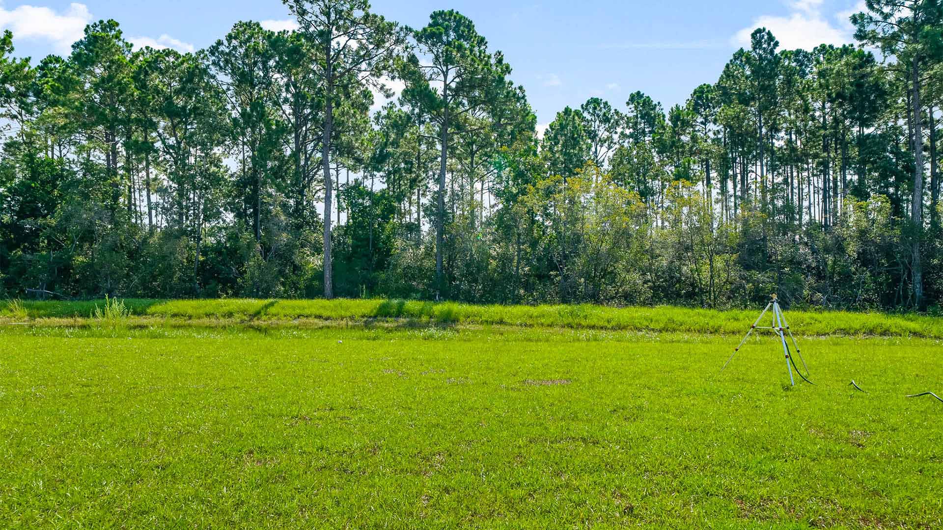 Back yard at Buffer Farms.