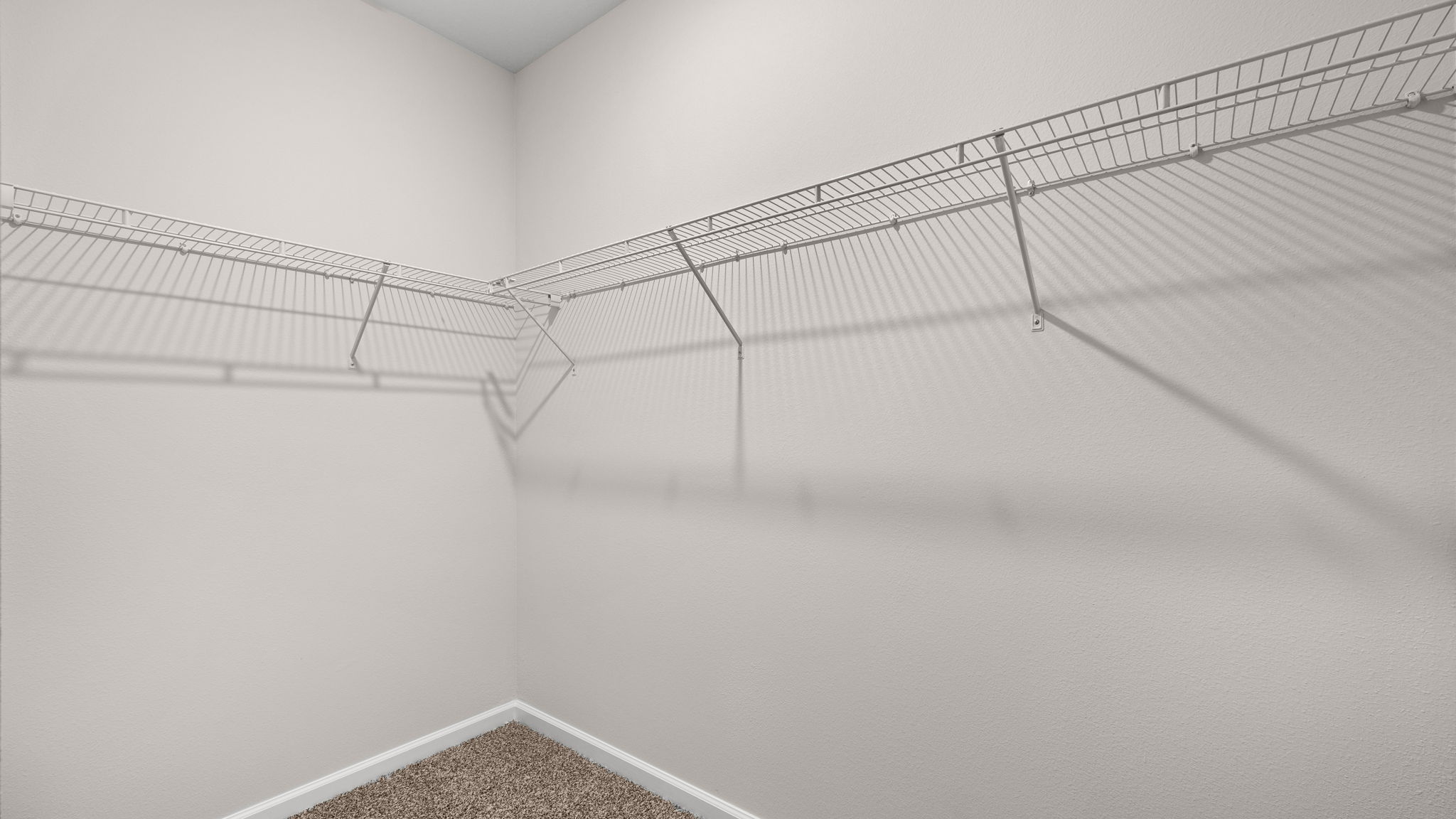 Walk in closet with carpet flooring and ventilated shelving.