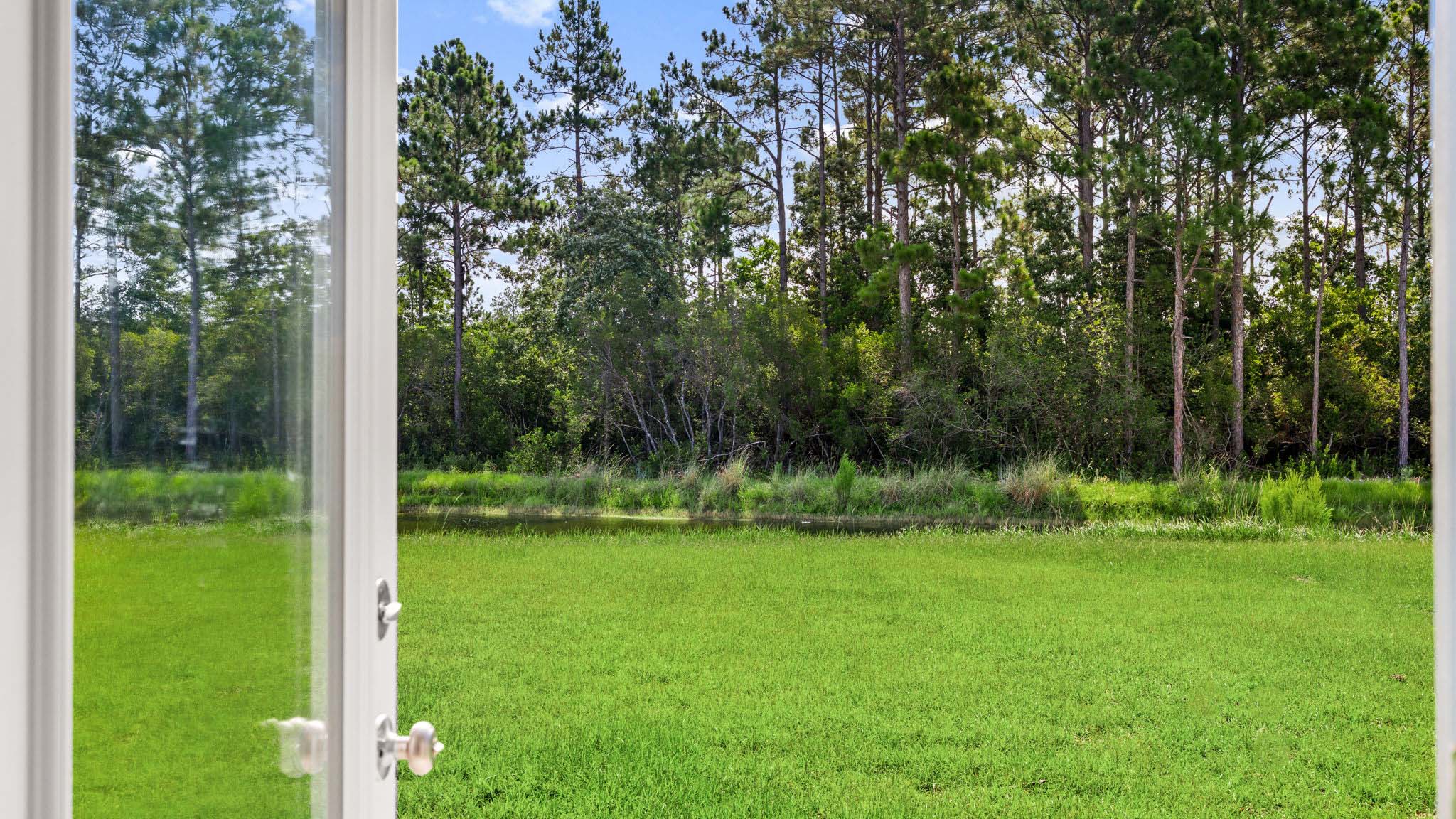 Back yard view.
